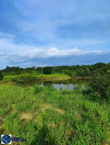 Fazenda/Sítio com 4 Quartos à venda, 13m² no Setor Central, Minaçu