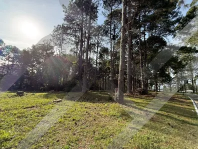 Lote/Terreno à venda, 2389m² no Praça da Aldeia da Serra 2 - Aldeia da Serra, Barueri