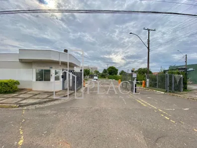 Apartamento com 3 Quartos para alugar, 60m² no Santa Madalena - Amalia Zago Marconato, Marília