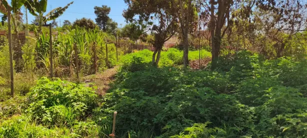 Lote/Terreno à venda, 200m² no Setor Habitacional Vicente Pires, Brasília