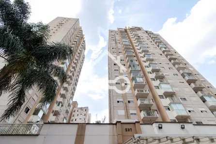 Apartamento com 3 Quartos à venda, 63m² no Cambuci, São Paulo