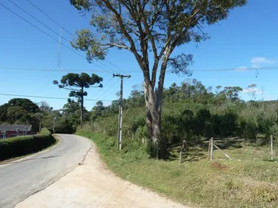 Fazenda/Sítio à venda, 10000m² no Pacotuba, Almirante Tamandaré