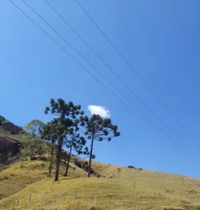 Lote/Terreno à venda, 130680m² no São Francisco Xavier, São José dos Campos