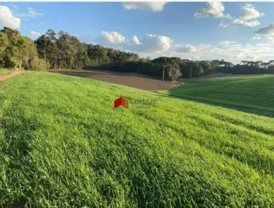 Fazenda/Sítio à venda, 57172m² no Colônia Murici, São José dos Pinhais