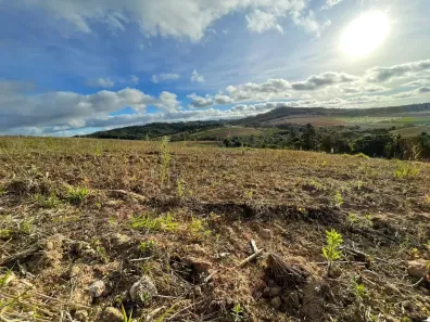 Lote/Terreno à venda, 500m² no Centro, Cotia