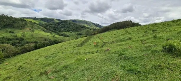 Fazenda/Sítio à venda, 726000m² no Itapeva, Itapeva