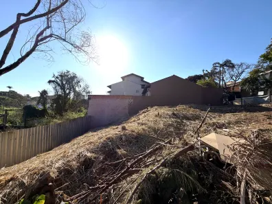 Lote/Terreno à venda, 290m² no Jardim das Paineiras, Campinas
