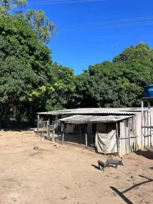 Fazenda/Sítio à venda, 1800000m² no , Buritis