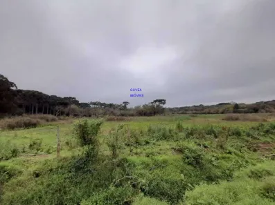 Lote/Terreno à venda, 166957m² no Campina da Barra, Araucária