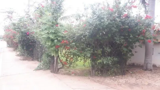 Casa com 6 Quartos à venda, 1000m² no Coophema, Cuiabá