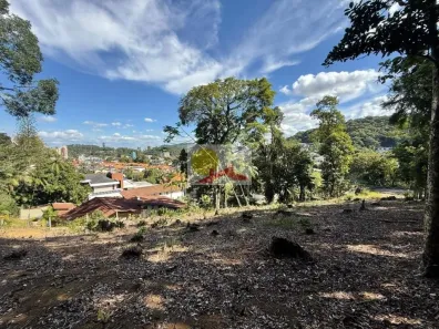 Lote/Terreno à venda, 1666m² no América, Joinville
