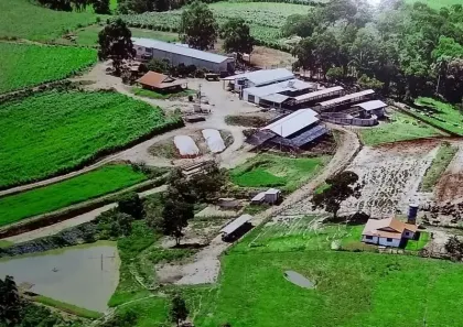 Fazenda/Sítio com 3 Quartos à venda, 150m² no , Pilar do Sul