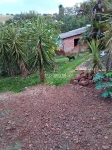 Lote/Terreno à venda, 5000m² no Irerê, Londrina