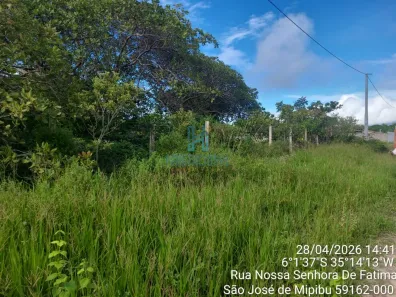Lote/Terreno à venda, 8000m² no Bonfim, São José de Mipibu
