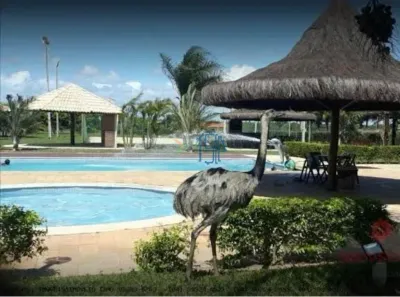 Casa de Condomínio com 3 Quartos à venda, 650m² no , Macaíba