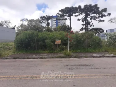 Lote/Terreno à venda, 572m² no Vila Verde, Caxias do Sul