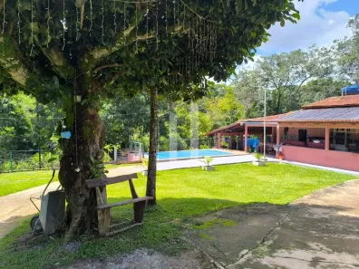 Fazenda/Sítio com 3 Quartos à venda, 2100m² no Chão de Estrela, Aragoiânia