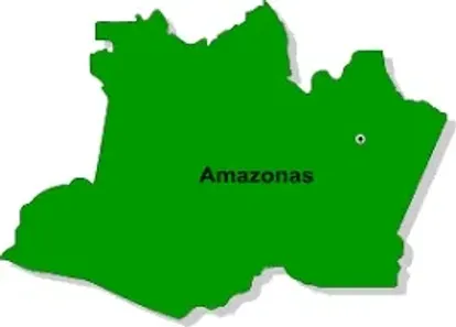 Lote/Terreno à venda, 200000000m² no , Pauini