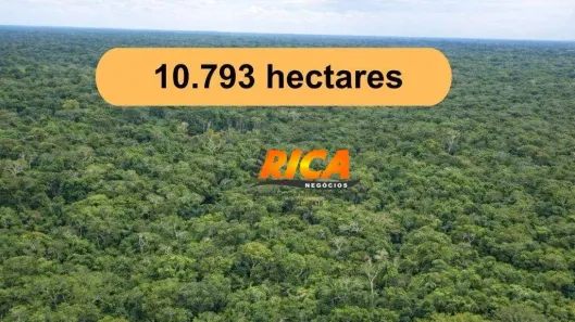 Fazenda/Sítio à venda, 107930000m² no Autazes, Autazes