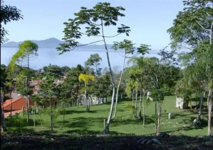 Lote/Terreno à venda, 22245m² no Ponta de Baixo, São José