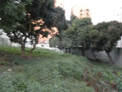 Lote/Terreno à venda, 981m² no Vila Progredior, São Paulo