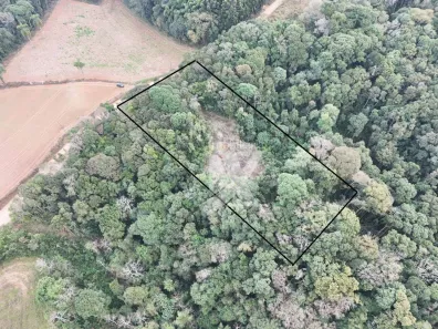 Lote/Terreno à venda, 24200m² no Vila David Antônio, Campo Largo