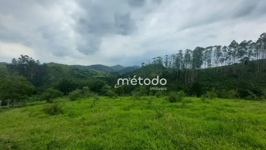 Fazenda/Sítio com 12 Quartos à venda, 600m² no Sítio Cachoeira, Santa Branca