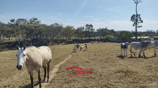 Fazenda/Sítio com 2 Quartos à venda, 5m² no Tijuco Preto, Caçapava
