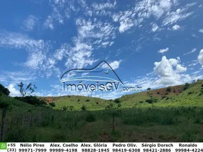 Fazenda/Sítio com 1 Quarto à venda, 100m² no Ilha dos Araújos, Governador Valadares