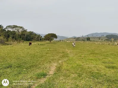 Fazenda/Sítio à venda, 30000m² no Morretes, Balneário Piçarras