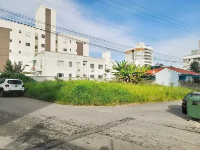 Lote/Terreno à venda, 558m² no Pagani, Palhoça
