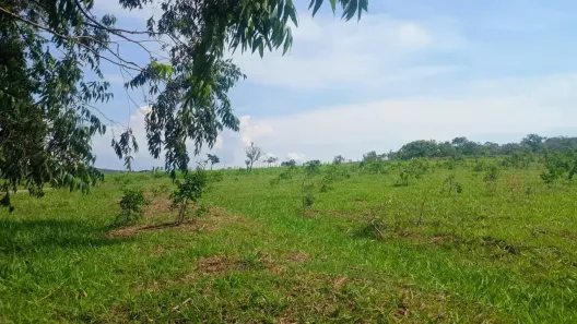 Fazenda/Sítio com 3 Quartos à venda, 27000m² no Mato Seco, Água Fria de Goiás