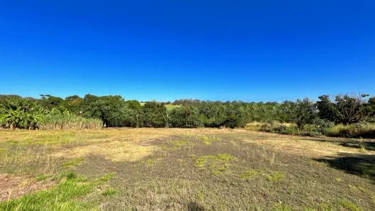 Lote/Terreno à venda, 55000m² no Recreio Anhangüera, Ribeirão Preto