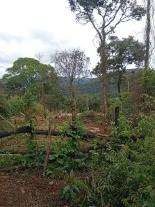 Fazenda/Sítio à venda, 1332m² no , Itatiaiuçu