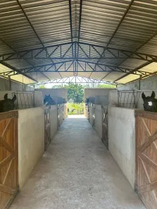 Fazenda/Sítio com 8 Quartos à venda, 240200m² no , Lagoinha