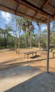 Fazenda/Sítio com 2 Quartos à venda, 2500m² no Residencial Monte Cristo, Boa Vista