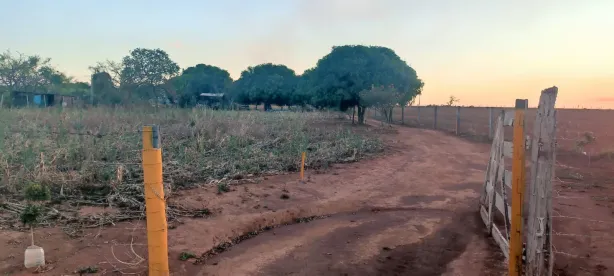Fazenda/Sítio com 3 Quartos à venda, 7500m² no , Leopoldo de Bulhões