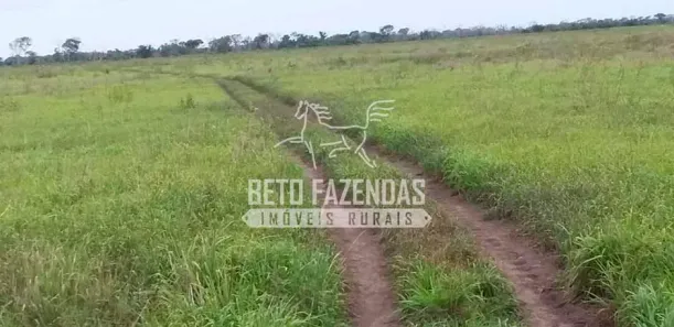Fazenda/Sítio à venda, 240000000m² no Amolar, Corumbá