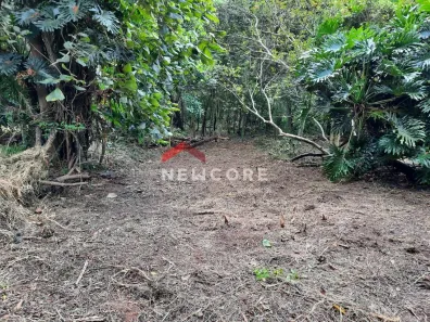 Fazenda/Sítio com 1 Quarto à venda, 2437m² no Chácara Eliana, Cotia