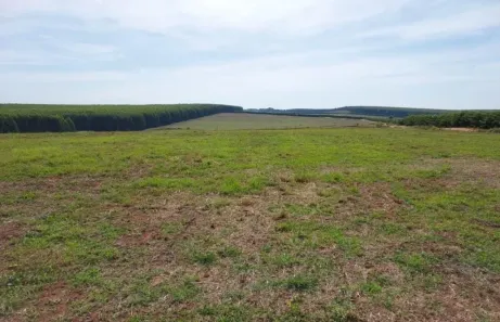 Fazenda/Sítio com 2 Quartos à venda, 60m² no Área Rural de Bauru, Bauru
