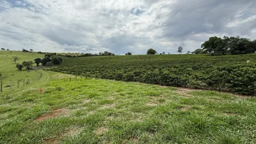 Fazenda/Sítio à venda, 242000m² no , Ouro Fino