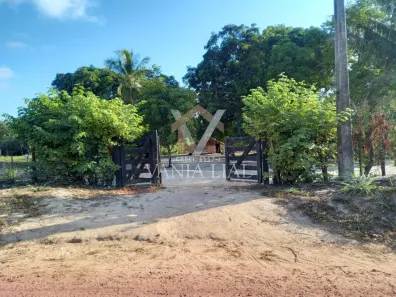 Fazenda/Sítio à venda, 40000m² no Tubão, Salinópolis