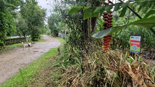 Lote/Terreno à venda, 500m² no Porto de Cima, Morretes
