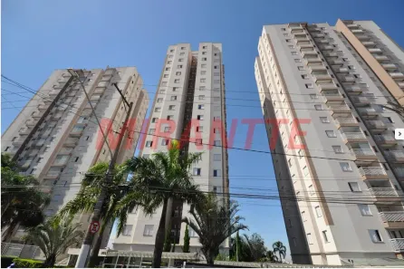 Apartamento com 2 Quartos à venda, 50m² no Vila Paiva, São Paulo