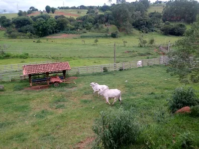 Fazenda/Sítio com 2 Quartos à venda, 532000m² no , Cambuí