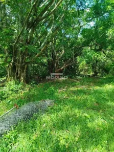 Fazenda/Sítio à venda, 1545m² no Shopping Park, Uberlândia