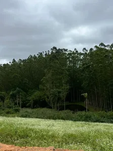 Lote/Terreno à venda, 500m² no Vila São Roque (Caucaia do Alto), Cotia