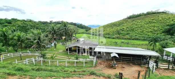 Fazenda/Sítio com 3 Quartos à venda, 350m² no Funchal, Cachoeiras de Macacu