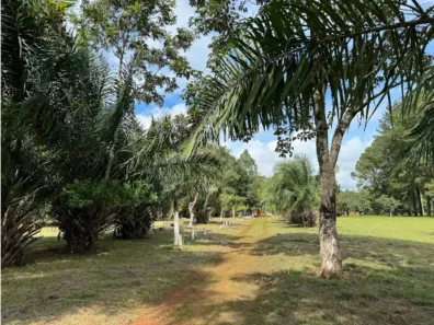 Fazenda/Sítio com 2 Quartos à venda, 21348m² no Jardim Botânico, Goiânia