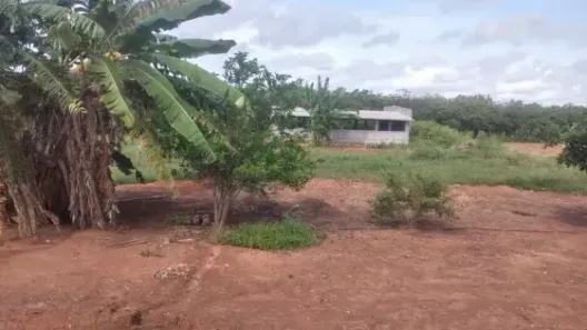Fazenda/Sítio com 3 Quartos à venda, 420000m² no , São Miguel do Gostoso